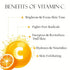 Shills Professional Vitamin C Face Sheet Mask