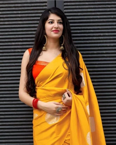 Vasthrlay Banarasi Saree