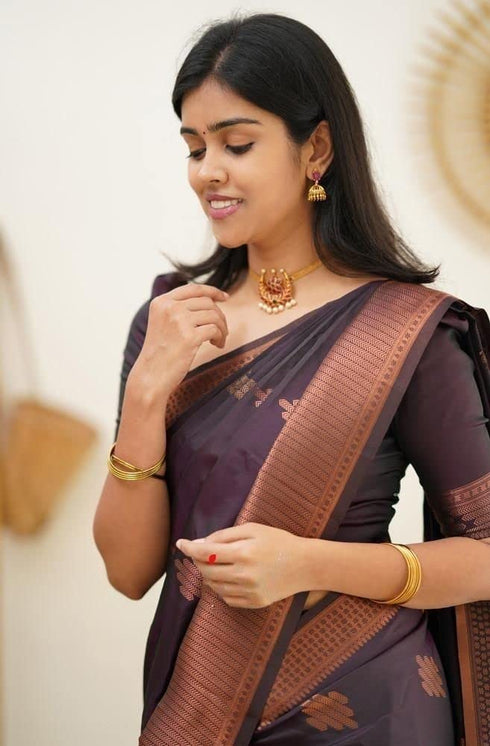 Vasthrlay Kanjivaram Saree