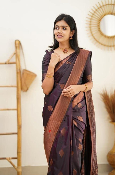 Vasthrlay Kanjivaram Saree