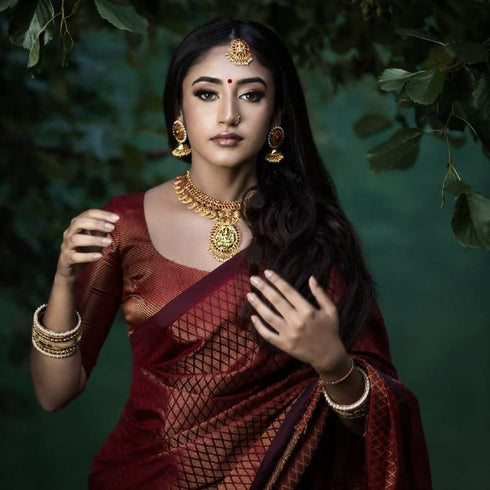 Vasthrlay Banarasi Saree