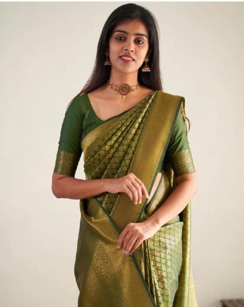 Vasthrlay Banarasi Saree
