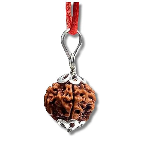 Rudraksh Chain (Big Size) / Rudraksha Mala (Big Size)