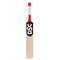DSC Lava Kashmir Willow Short Handle Cricket Bat