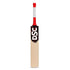 DSC Lava Kashmir Willow Short Handle Cricket Bat