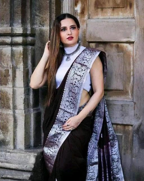 Vasthrlay Banarasi Saree