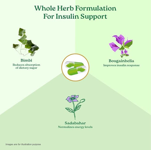 Organic India Sugar Balance Veg Capsules