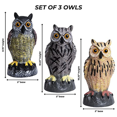 Owl Decoys to Scare Birds Away | Plastic Owls to Scare Birds Away