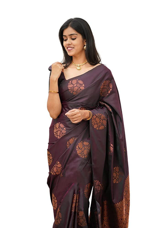 Vasthrlay Banarasi Perfect Occasion
