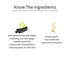 Omorfee India Charcoal-Acacia Whitehead Peel Mask