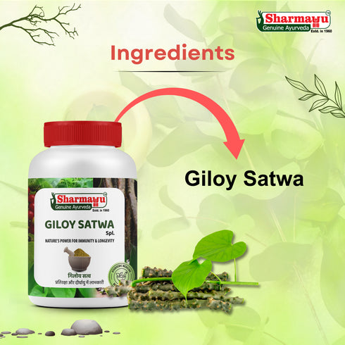 Sharmayu Ayurveda Giloy Satwa Spl Giloy Satwa Immunity Booster and Longevity Enhancer 100g