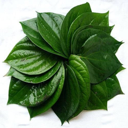 Paan leaves| Betel Leaves