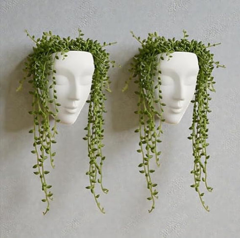 Generic Wall Mounted Face Planter Set| White