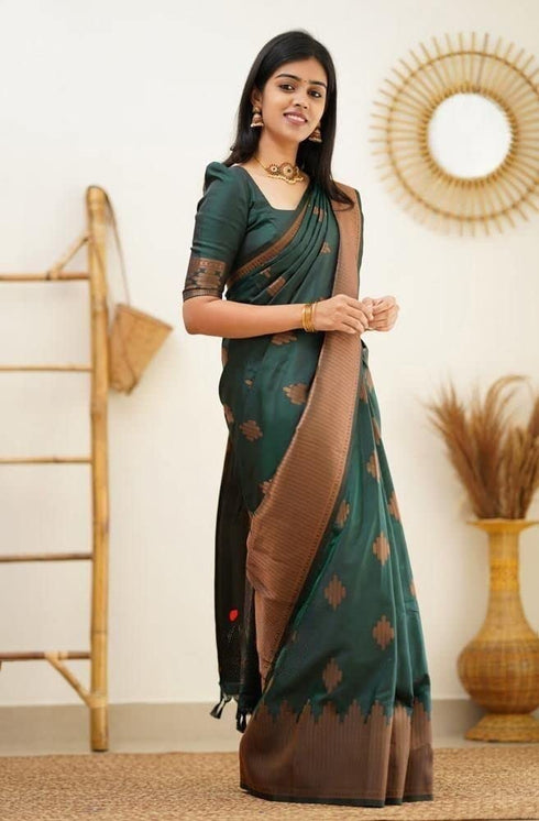 Vasthrlay Kanjivaram Saree