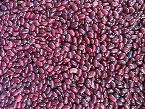 Munsiyari Lal Rajma, Premium Unpolished and Natural, Red Rajma Pahadi or Kidney Beans 1Kg