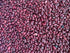 Munsiyari Lal Rajma, Premium Unpolished and Natural, Red Rajma Pahadi or Kidney Beans 1Kg