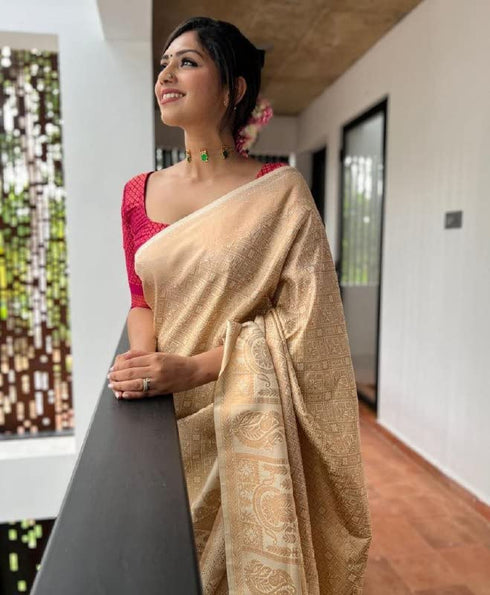 Vasthrlay Purple Banarasi Saree