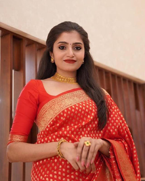 Vasthrlay Banarasi Saree