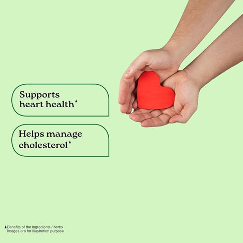 Organic India Organic Lipid Care Veg Capsules