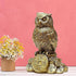 Shui Owl Showpiece for Home & Office Vastu Decorative Owl Statue for Wisdom, Protection & Good Luck