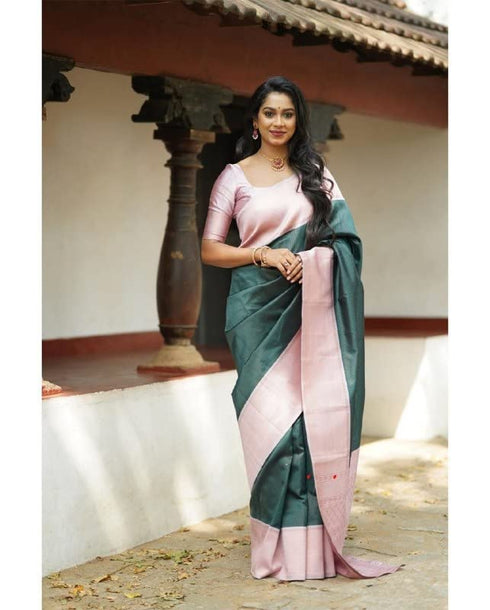 Vasthrlay Banarasi Border Saree