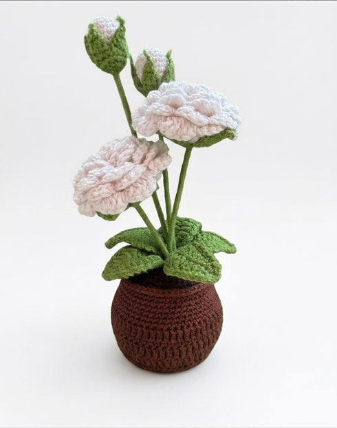 White Rose Crochet Flower Pot