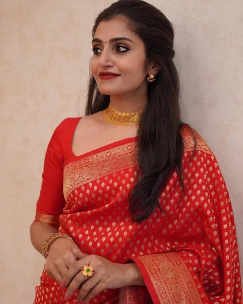 Vasthrlay Banarasi Saree