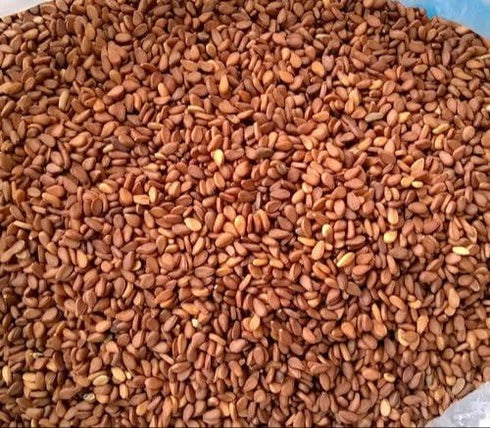Thakar Sesame Brown Til Seeds