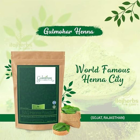 Gulmohar Organic BAQ Mehandi Powder