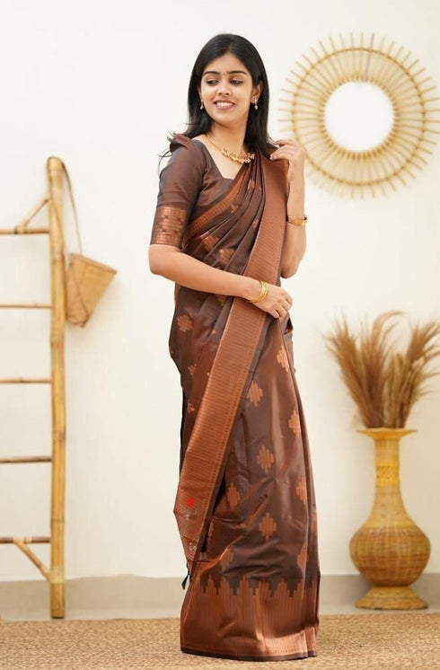 Vasthrlay Kanjivaram Saree