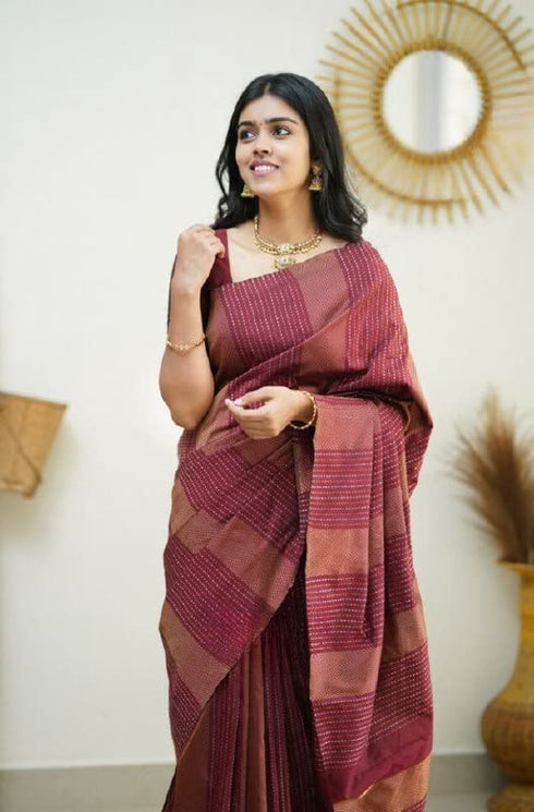 Vasthrlay Banarasi Saree