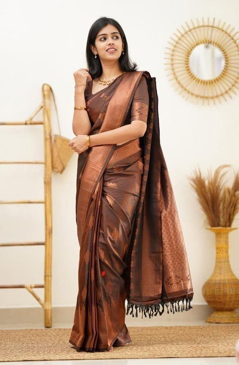 Vasthrlay Kanjivaram Saree