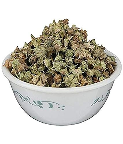 Gokhru Chota Tribulus Terrestris Seeds Small Caltrops Gokhra