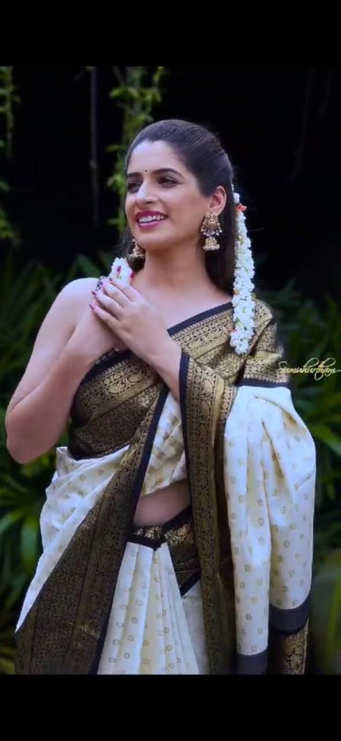 Vasthrlay Kanjivaram Traditional Saree
