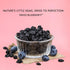 Bombay Snacking Company Dried Blueberries 100gm