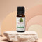 Revital Essential Tea Tree Oil