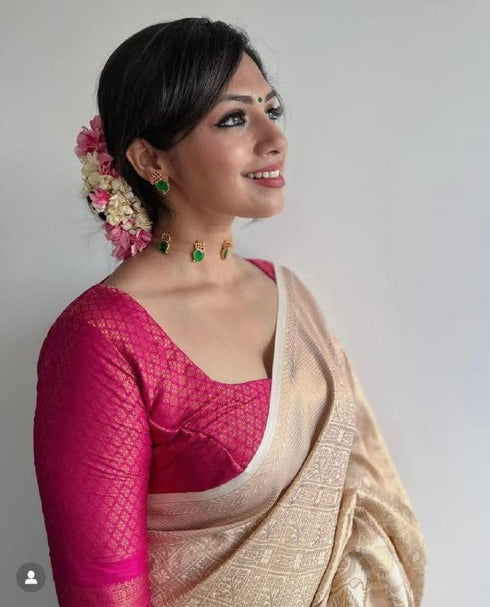 Vasthrlay Banarasi Border Saree