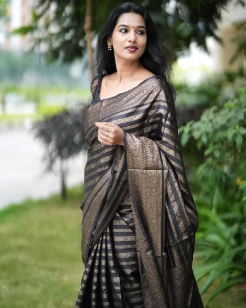 Vasthrlay Banarasi Saree