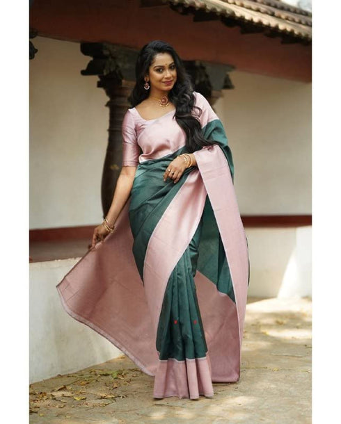 Vasthrlay Banarasi Border Saree