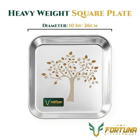 Stainless Steel Square Plate Set of 6