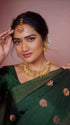 Vasthrlay Kanjivaram Saree