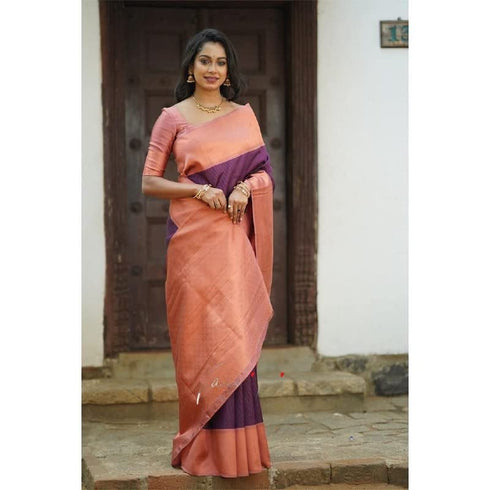Vasthrlay Banarasi Border Saree