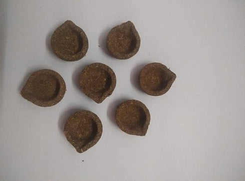 Homemade Panchagavya Gobar Diya | Vilakku or Deepam