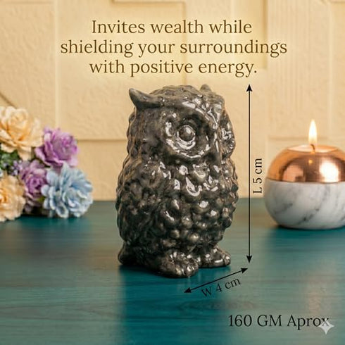 Owl for Dhan Wealth Protection | Vastu Feng Shui Money Attraction Owl