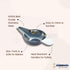 Stainless Steel Baby Feeder Spoon Paladai Set