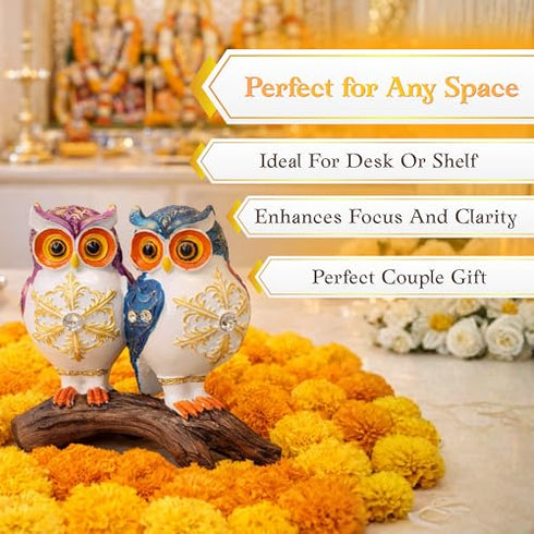 Hand-Painted Owl Couple Figurine | Decorative Showpiece Symbolising Wisdom & Love