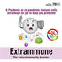 Charak Pharma Extrammune Tablets
