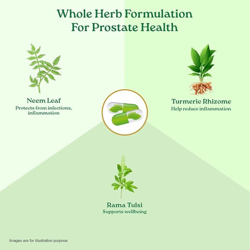 Organic India Prostate Care Veg Capsule