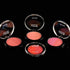 Lakme Absolute Face Stylist Blush Duos | Coral Blush