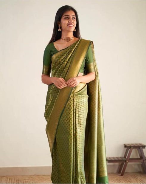 Vasthrlay Banarasi Saree